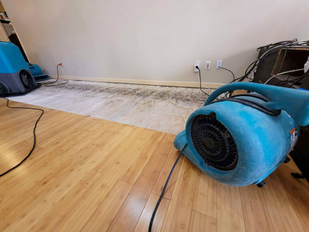 Professional Structural Drying technician working in Jeffersonville, KY